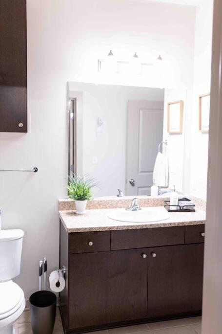 Amplify Spaces 1 And 2 Bedroom Apartments, Downtown Birmingham, Uab Екстериор снимка